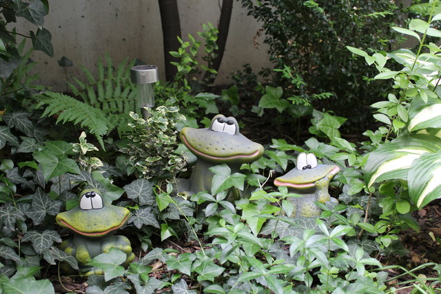 Frösche im Garten