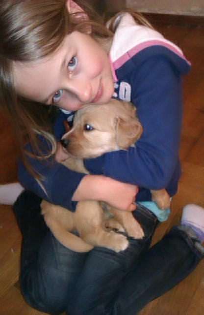 Hundehalter müssen seit 1. Jänner 2013 ihre Sachkunde nachweisen.