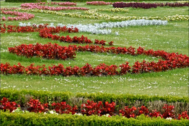 Nur ein kleines Detail der wundervoll ausgelegten 'Rasen-Blumenteppiche'