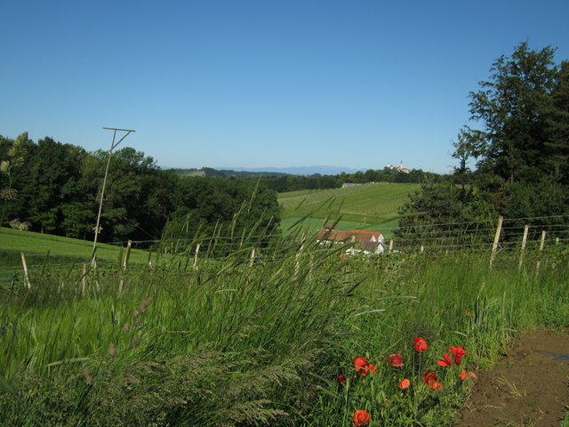 Bussardaussichtswarte