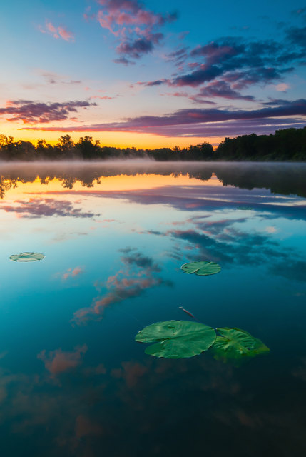 Frühling in der Wiener Lobau