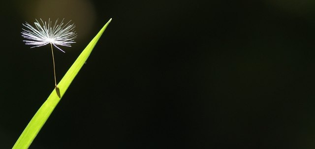 einsam