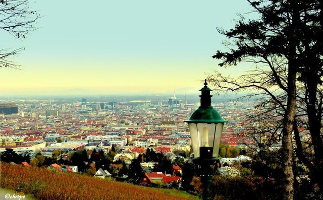 Blick vom Schloss Wilhelminenberg auf Wien