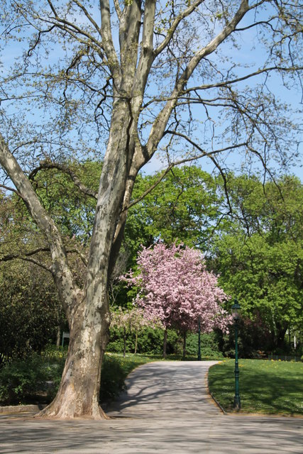 im Kongresspark