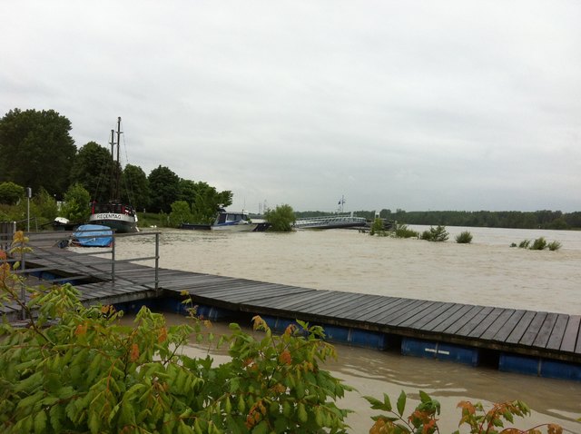 Die Donau in Tulln: Heute, 14 Uhr.