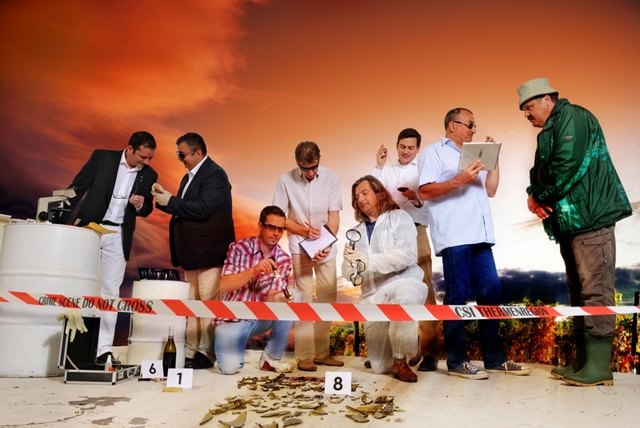 Seit 10 Jahren gehen die Burgundermacher den Weinen der Thermenregion auf den Grund und sind den besten Pinots auf der Spur…