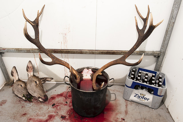 Kühlkammer: Heimo Czepl möchte mit seinen Bildern Emotionen auslösen.