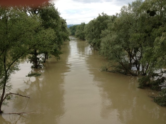 Hochwasser in Wilhering: der Pegel ist merklich gesunken, aber der Weg nach Linz die Donau entlang ist nach wie vor gesperrt. Schick uns auch du deine Hochwasserfotos an linz-land.red@bezirksrundschau.com oder werde als "Regionaut" Leserreporter auf www.bezirksrundschau.com