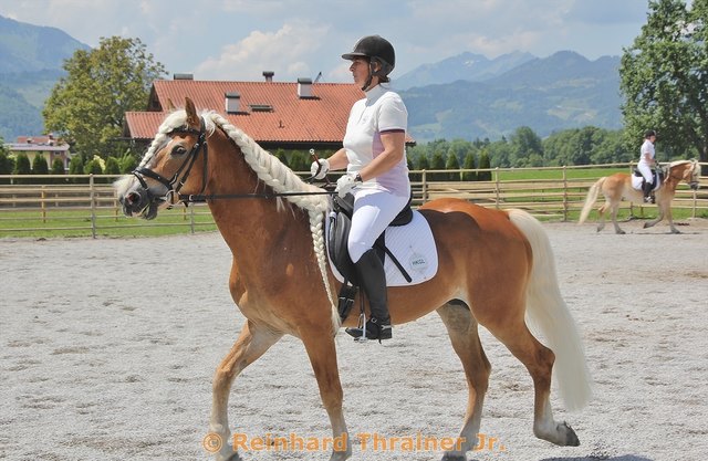 Ein guter Friseur und Top Produkte machen sich eben doch bezahlt, auch bei Haflinger Blondinen!
