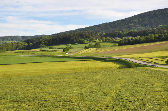 Foto: Foto: BezirksRundschau