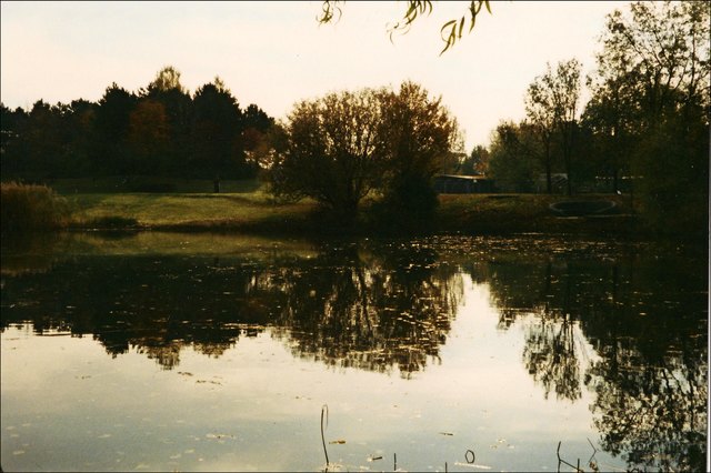 Zuerst geht es in den Kurpark Oberlaa in Wien-Favoriten