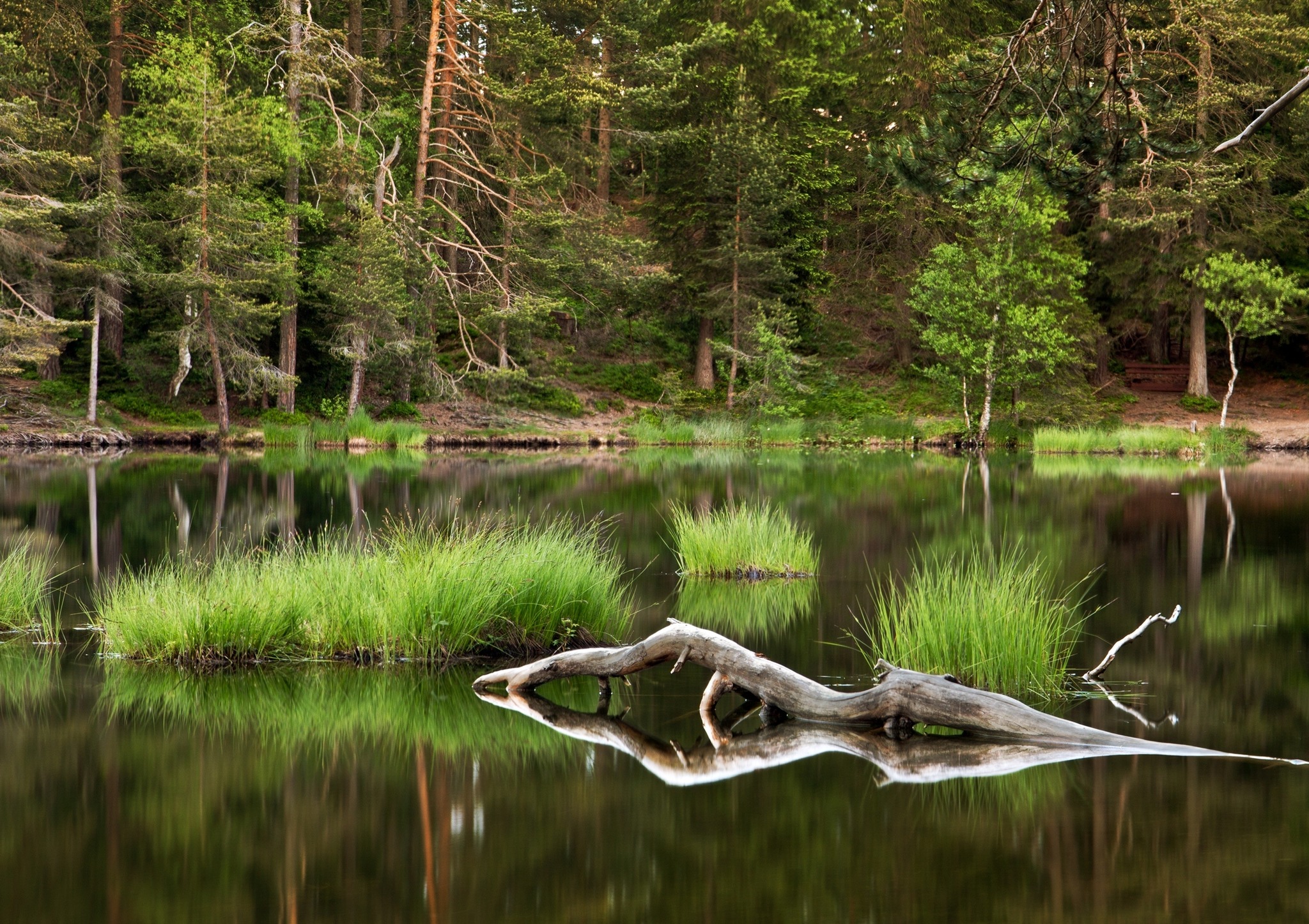 möserer see / geheimtip an heißen sommertagen HallRum