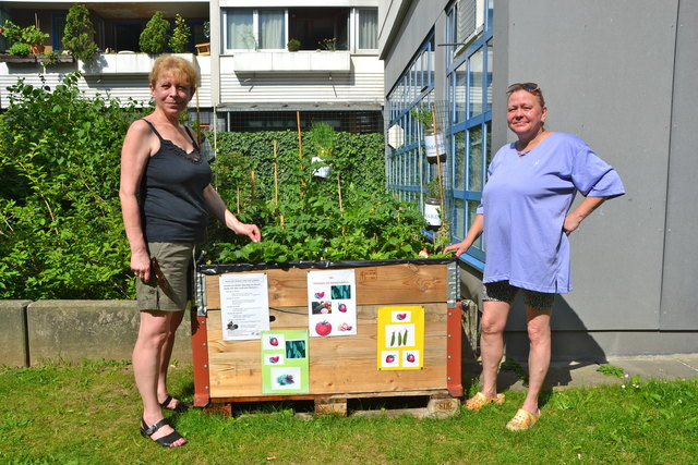 Sibylle Kristek und Brigitte Parmetler zeigen stolz ihr blühendes Gemüsebeet im Robert-Uhlir-Hof.