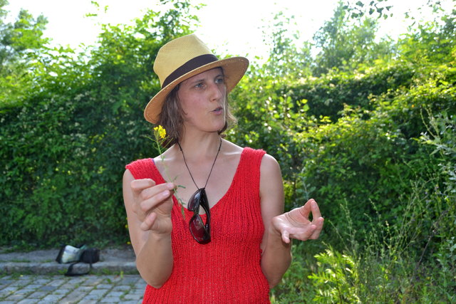 Die Kräuterpädagogin Karoline Grün erklärt, welche natürlichen Schätze vor der Haustüre gedeihen.