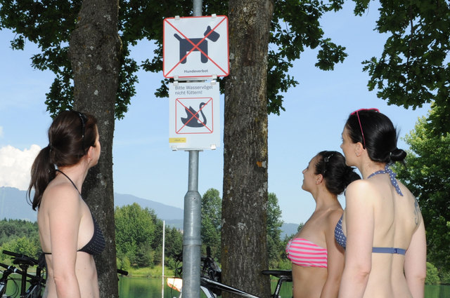 Hundeverbot herrscht am Villacher Silbersee | Foto: Stadt Villach
