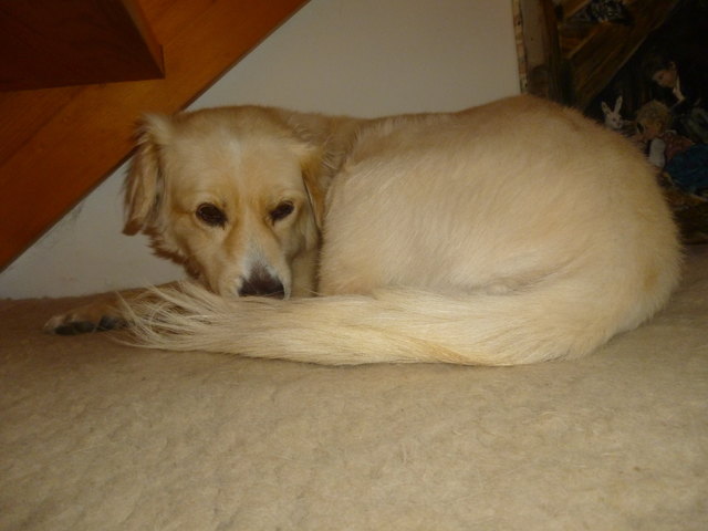 Bei der Affenhitze bleib ich lieber auf meinem Platz