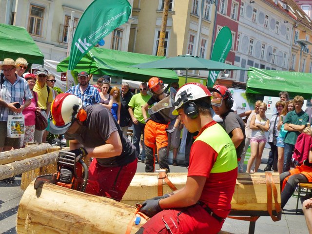 Waldfest &amp; Bauerntag, Graz