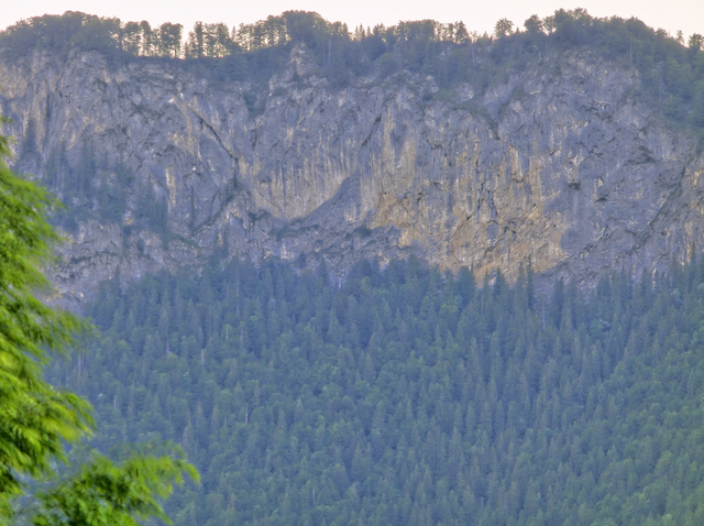 Niederkaiser