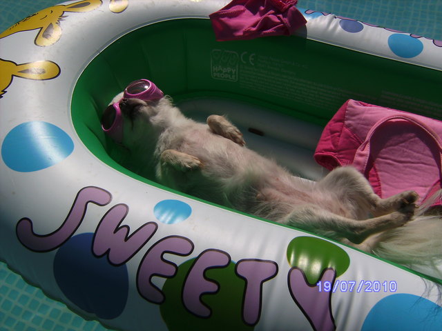 ich hab mein bikinihöschen ausgezogen......