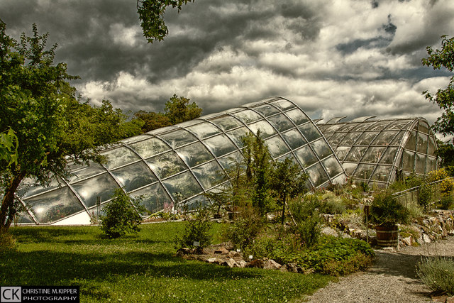 Heute im botanischen Garten in Graz Graz