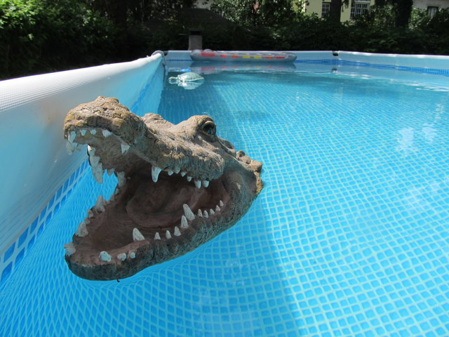pool-security im dienst