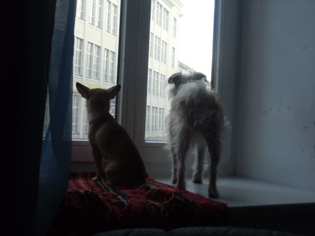 Wo bleibt der Sommer?