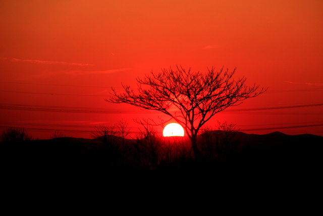 Sommersonnenuntergang in Vösendorf
