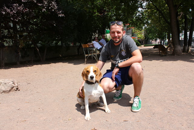 Bernd und seine Beagledame "Tante Mitzi" lieben die Hundezone vor dem Alfred-Grünwald-Park an der Linken Wienzeile.