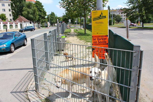 Exponierte Verkehrslage am Gürtel: die winzige Hundezone am Gumpendorfer Gürtel 2.