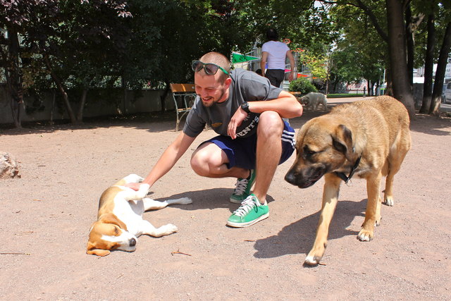 Bernd und seine Beagledame "Tante Mitzi" lieben die Hundezone vor dem Alfred-Grünwald-Park an der Linken Wienzeile.