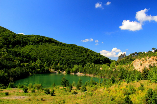 Kaltenleutgebener Teich im Sommer