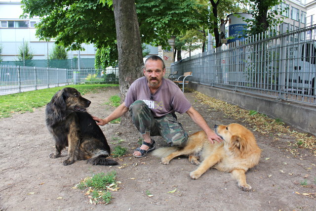 Olli mit seinen Hündinnen Nana und Lulu in der Hundezone Esterházypark: "Mehr Gras und etwas mehr Platz wären schön!"