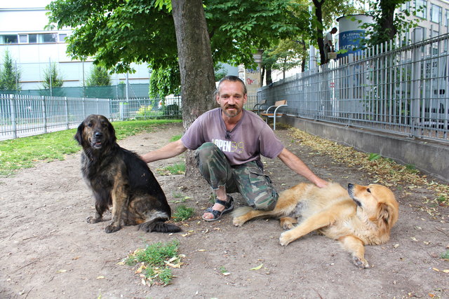Olli mit seinen Hündinnen Nana und Lulu in der Hundezone Esterházypark: "Mehr Gras und etwas mehr Platz wären schön!"