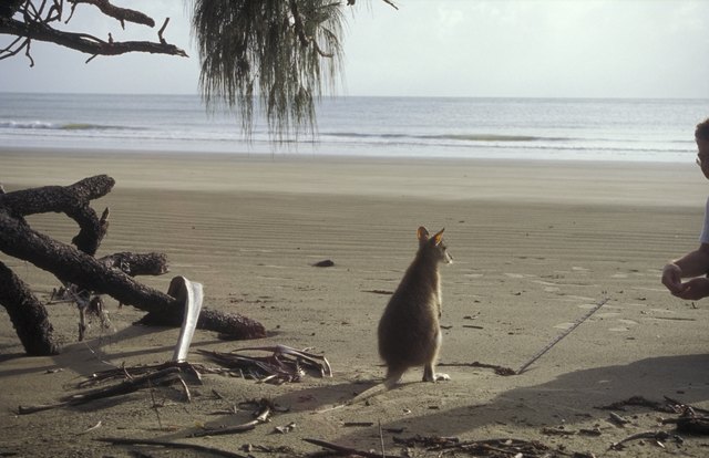 Begegnung am Strand