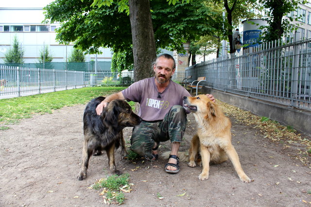 Olli mit seinen Hündinnen Nana und Lulu in der Hundezone Esterházypark: "Mehr Gras und etwas mehr Platz wären schön!"