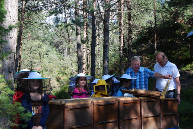 Josef Riezler und Gerhard Holzknecht (v.l.) ließen die SchülerInnen tief in die Bienenwelt blicken. | Foto: Foto: Holzknecht