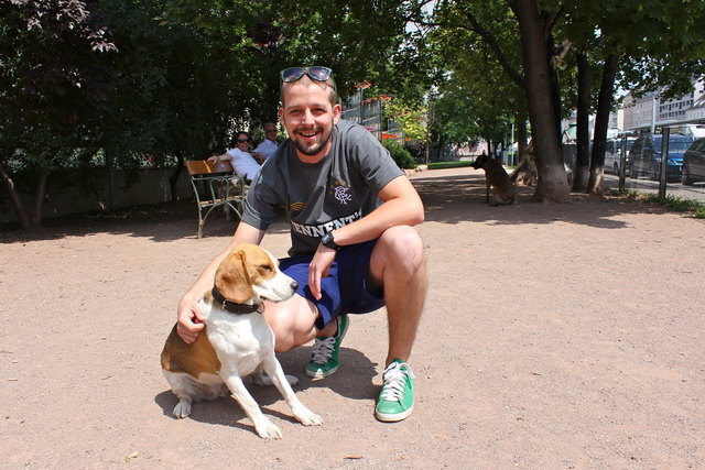 Bernd und seine Beagledame "Tante Mitzi" lieben die Hundezone vor dem Alfred-Grünwald-Park an der Linken Wienzeile.