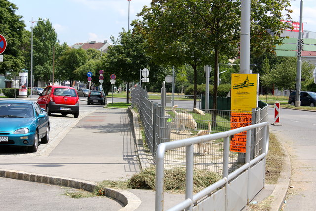 Exponierte Verkehrslage am Gürtel: die winzige Hundezone am Gumpendorfer Gürtel 2.
