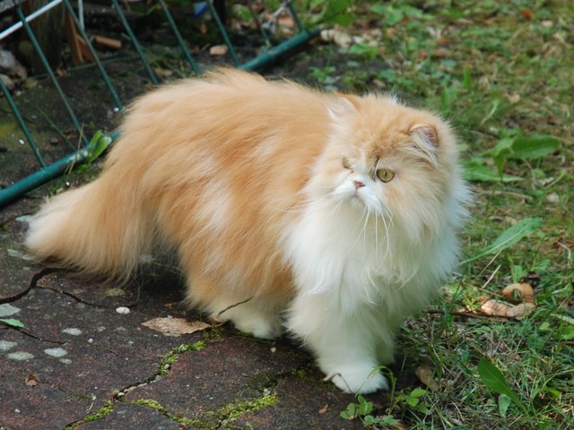 Lilly : ...... endlich Sommer !