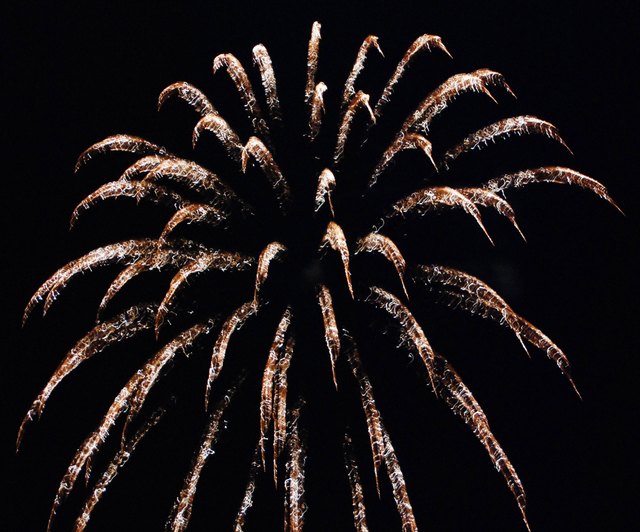 Geschmacksexplosion mit der Prinzenrolle