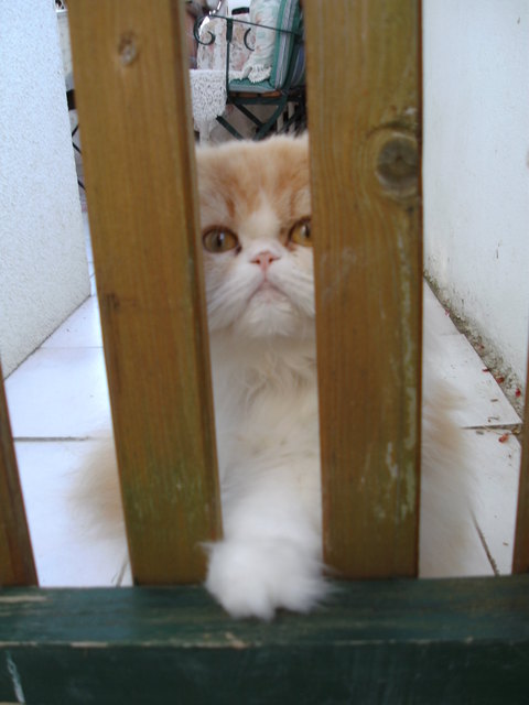 Lilly : ....................ich will raus !!