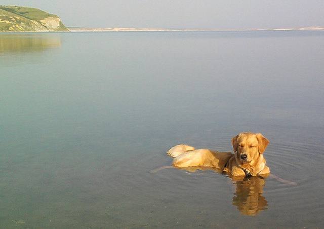 Chillen im Meer
