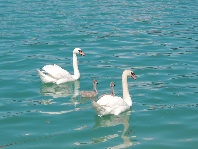 urlaub am wörthersee