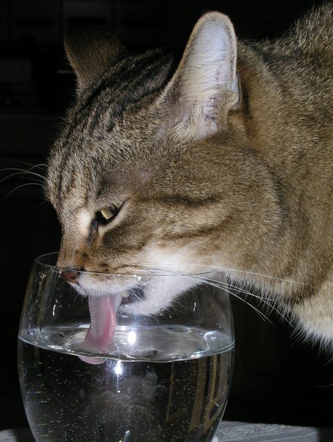 Ich habe durst !!!!