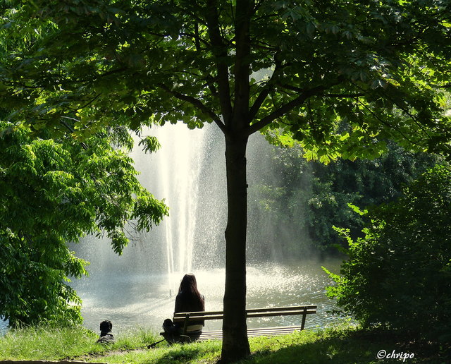 Sommer im Park