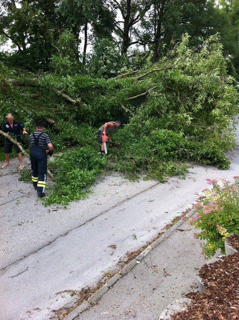 Gestürzter Baum | Foto: Gemeinde Grünburg