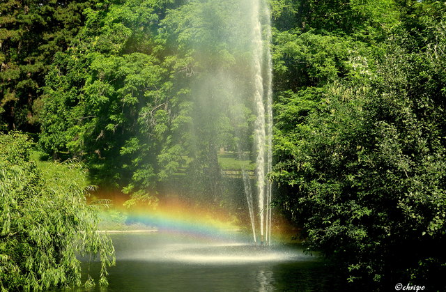 Ein Regenbogen im Springbrunnen