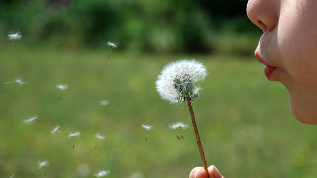Flughilfe