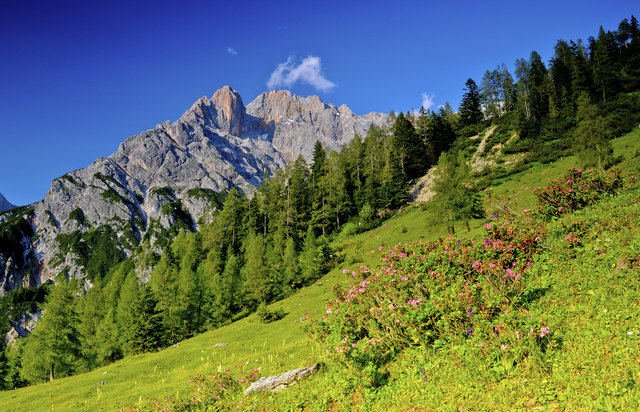 Ein Blick von der Poschalm oberhalb von Hintertal auf den Hochseiler mit seinen steilen Türmen und Wänden