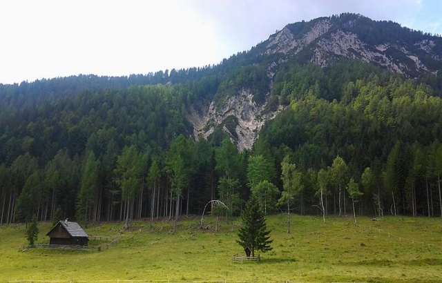 Hermagorer Alm mit Golz